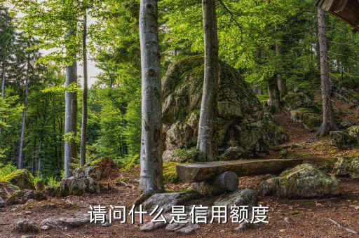 信用額度是什么意思，信用額度是什么意思