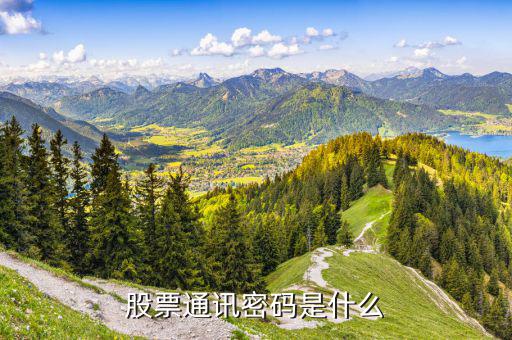 財(cái)富證券通訊密碼是什么，證券里面的通訊密碼是什么意思