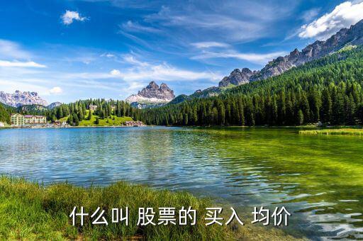 什么叫 股票的 買入 均價(jià)