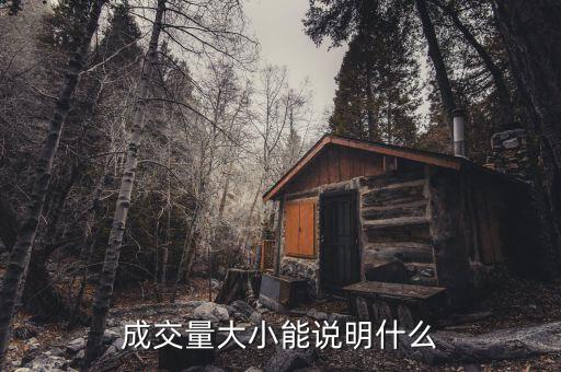 股票成交量大說明什么，股票中成交量多代表了什么有誰知道