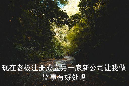 上市公司做監(jiān)事有什么好處，現(xiàn)在老板注冊(cè)成立另一家新公司讓我做監(jiān)事有好處嗎
