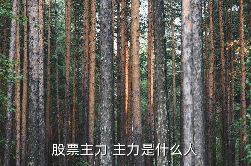炒股的都是什么人，什么樣的人才是炒股的高手