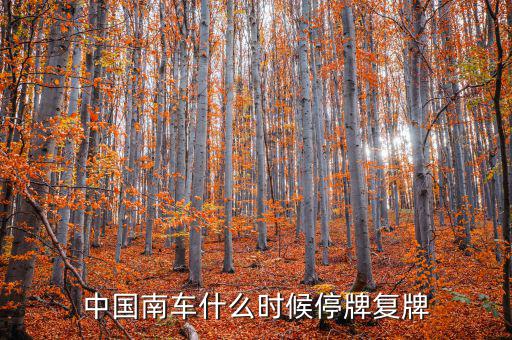 中國南車什么情況，中國南車跌停預(yù)示著大盤明天有什么狀況