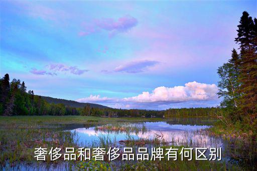 一線品牌和奢侈品有什么區(qū)別，奢侈品和奢侈品品牌有何區(qū)別