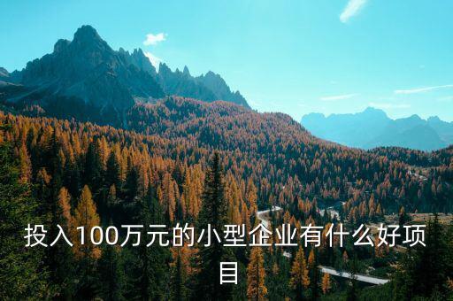 什么企業(yè)愛投資項(xiàng)目，投入100萬(wàn)元的小型企業(yè)有什么好項(xiàng)目