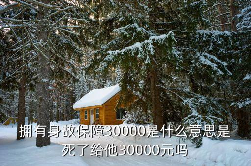身故保障是什么意思，身故保險(xiǎn)什么意思