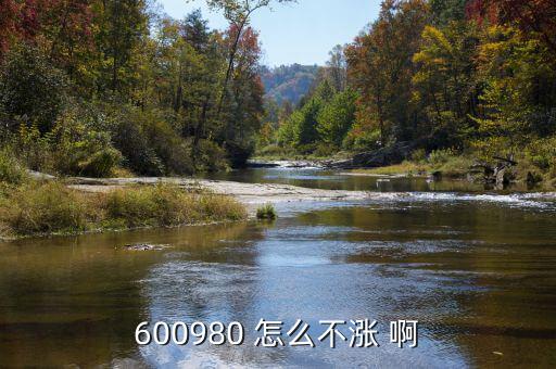 大地傳媒為什么不漲，大地傳媒能借利好走出大行情嗎