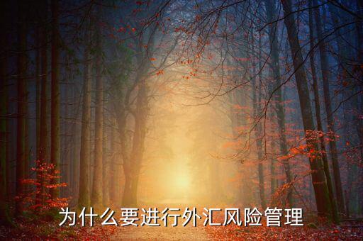 中國(guó)為什么實(shí)行外匯管制，為什么要加入國(guó)家外匯管理局工作