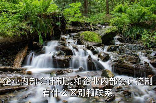 企業(yè)內(nèi)部會計(jì)制度和企業(yè)內(nèi)部會計(jì)控制有什么區(qū)別和聯(lián)系