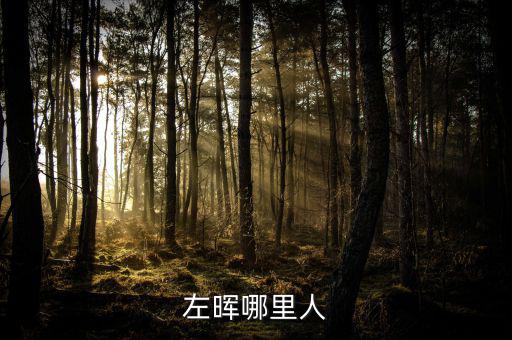 左暉靠什么起家，左暉與左東華什么關(guān)系