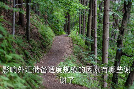 什么樣的外匯儲備規(guī)模是合理的，我國的外匯儲備規(guī)模是否合理