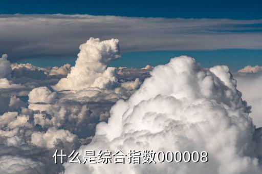 綜合指數(shù)是什么，什么是綜合指數(shù)000008