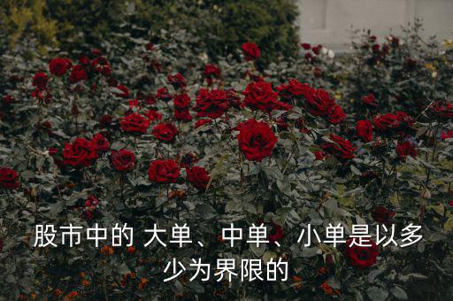  股市中的 大單、中單、小單是以多少為界限的
