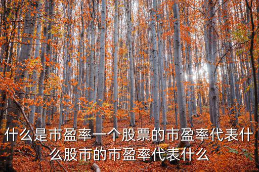 平均市盈率說明什么，什么是市盈率一個股票的市盈率代表什么股市的市盈率代表什么