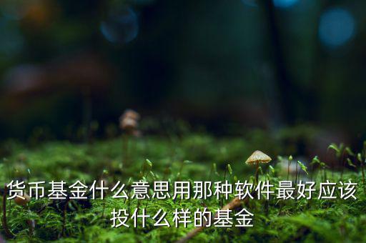 貨幣基金t什么意思，貨幣基金贖回時(shí)間T3是什么意思