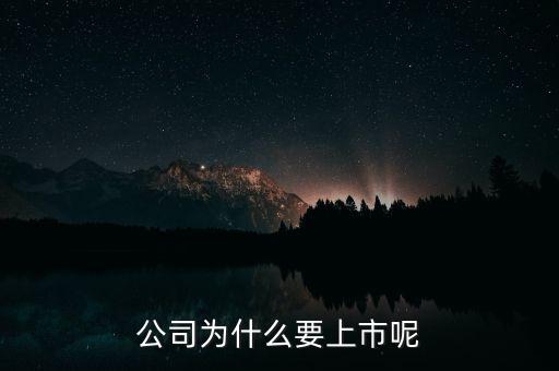 公司為什么上市，公司為什么要上市呢