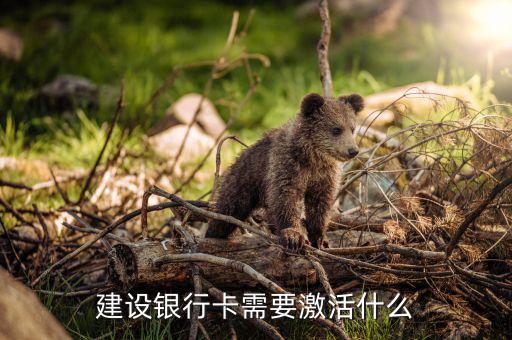 建行信用卡激活需要什么，激活信用卡需要準(zhǔn)備什么東西身份證和戶口本