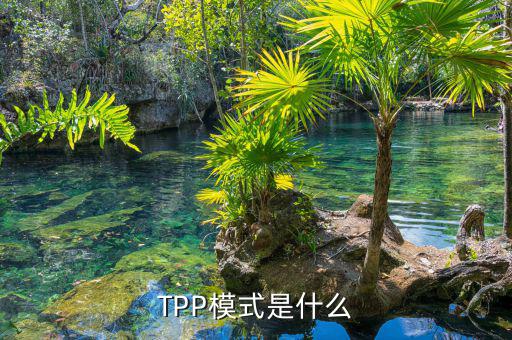 tpp什么時候生效，TPP文件時什么東西