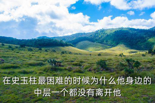 史玉柱為什么辭職，巨人史玉柱破產(chǎn)的原因是什么