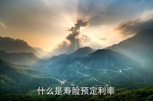 什么是預(yù)定利率，什么是壽險(xiǎn)預(yù)定利率