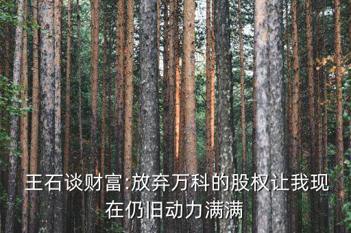  王石談財富:放棄萬科的股權讓我現(xiàn)在仍舊動力滿滿