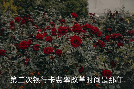 各銀行手續(xù)費(fèi)改革什么時(shí)候開始，第二次銀行卡費(fèi)率改革時(shí)間是那年