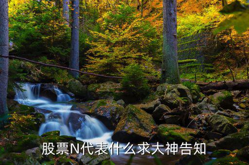 股市中n是什么意思，一些股票中前面的N是什么意思