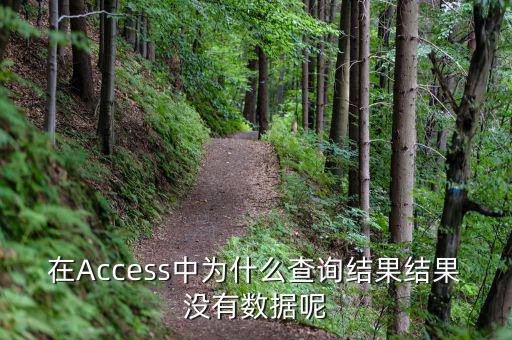 832494為什么沒有數(shù)據(jù)，在Access中為什么查詢結(jié)果結(jié)果沒有數(shù)據(jù)呢