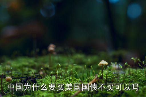 中國(guó)為什么一定要買美國(guó)國(guó)債，中國(guó)為什么要把那么多的黃金存放到美國(guó)