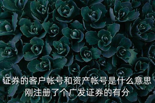 申萬(wàn)宏源資產(chǎn)賬號(hào)是什么，我知道瀘A股東的賬號(hào)怎么查資金賬號(hào)申萬(wàn)宏源
