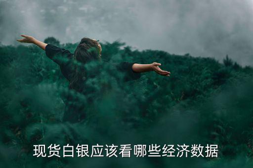 白銀價格和什么數(shù)據(jù)有關(guān)，現(xiàn)貨白銀應(yīng)該看哪些經(jīng)濟數(shù)據(jù)