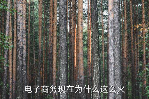 電商為什么火，電子商務(wù)現(xiàn)在為什么這么火