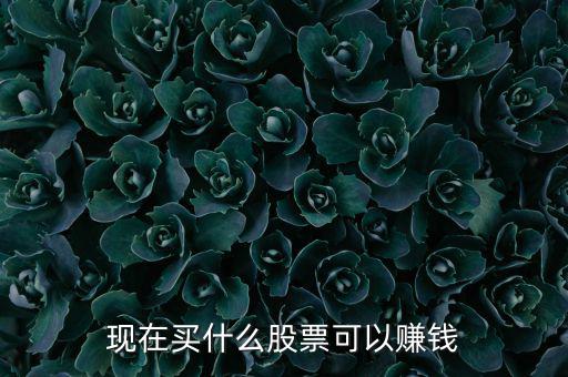 今年買什么股票可以賺錢，現(xiàn)在買什么股票可以賺錢