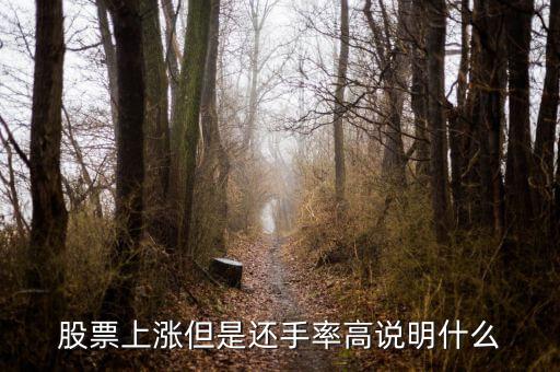 凈買率高說明什么，融資凈買入額高了好嗎