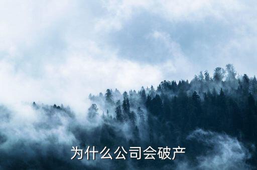 凱銀集團為什么破產(chǎn)了，公司破產(chǎn)的原因是什么