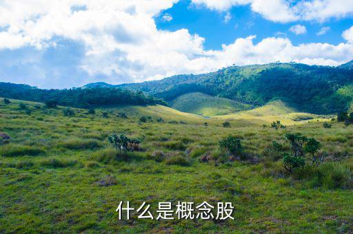 什么叫概念股，什么是概念股