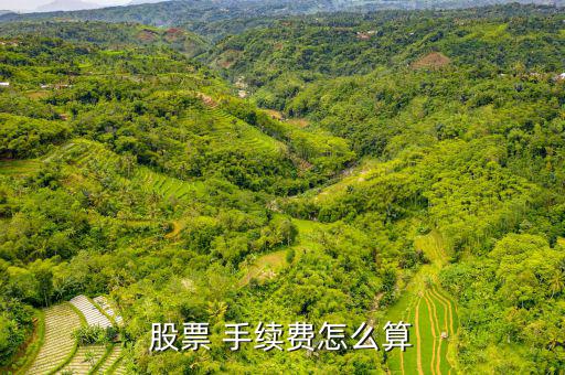 申購手續(xù)費(fèi)怎么算,基金認(rèn)購費(fèi)用計算公式:手續(xù)費(fèi)計算方法不同