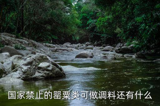 國家違禁香料有什么，國家禁止的罌粟類可做調(diào)料還有什么