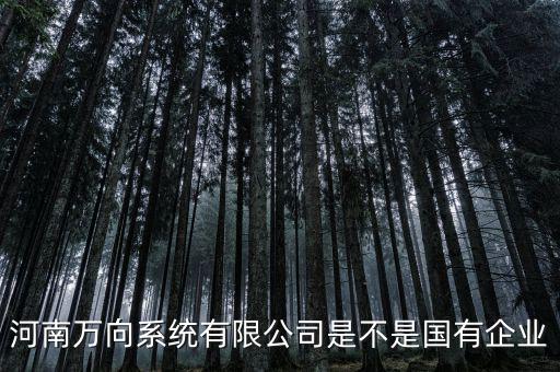 萬(wàn)向集團(tuán)是什么企業(yè)，萬(wàn)向集團(tuán)公司是哪一家公司設(shè)計(jì)的