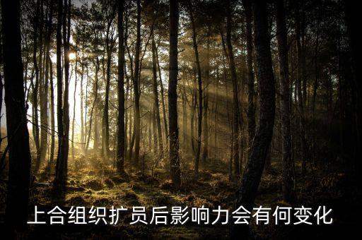 上合組織什么時(shí)候擴(kuò)員，上合組織可能擴(kuò)員么