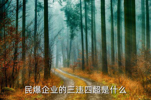 民爆企業(yè)的精髓是什么，民爆公司是甚么性質單位