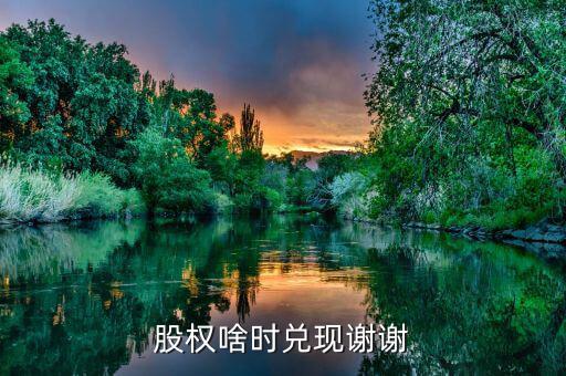 荃銀高科股權什么時候兌現(xiàn)，股權啥時兌現(xiàn)謝謝