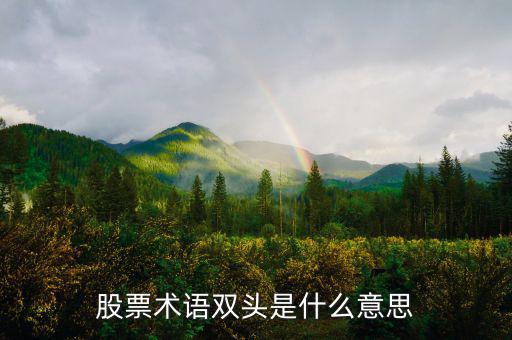 什么是大盤做雙頭，股票術(shù)語雙頭是什么意思