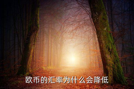 歐元為什么下跌，歐元下跌的真正原因是什么