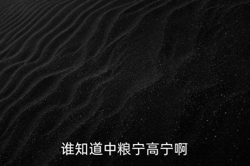 寧高寧為什么離開華潤(rùn)，誰知道中糧寧高寧啊