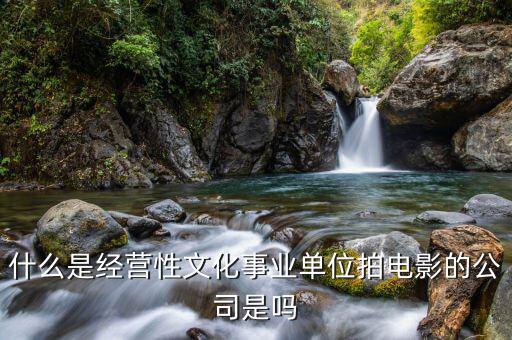 什么是經(jīng)營性事業(yè)單位，哪些屬于經(jīng)營性文化事業(yè)單位