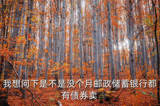 什么時(shí)候銀行承銷債券，政策性金融債承銷分銷流程