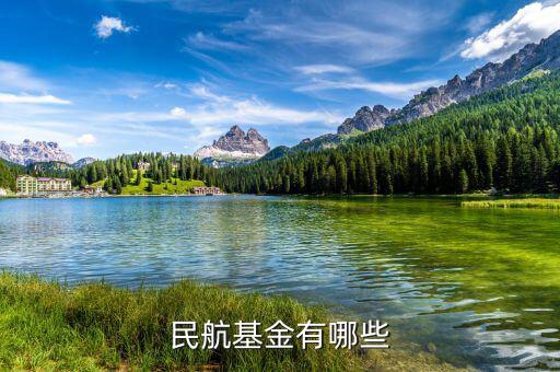 飛機(jī)票還有什么民航基金，民航基金有哪些