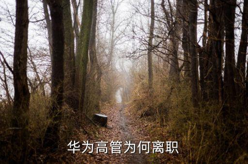 范家輝為什么離職，美國駐華大使家輝為什么宣布將辭職為什么來的如此的突然