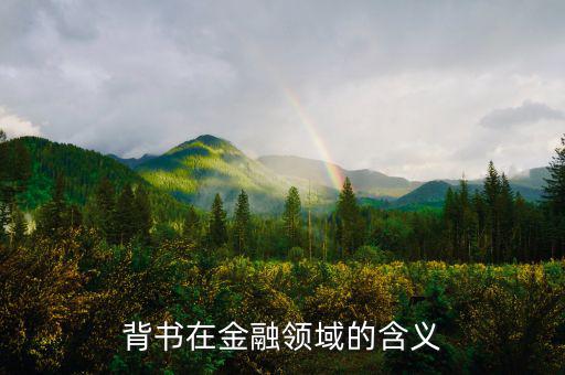 什么是投資背書，什么是背書金融術(shù)語